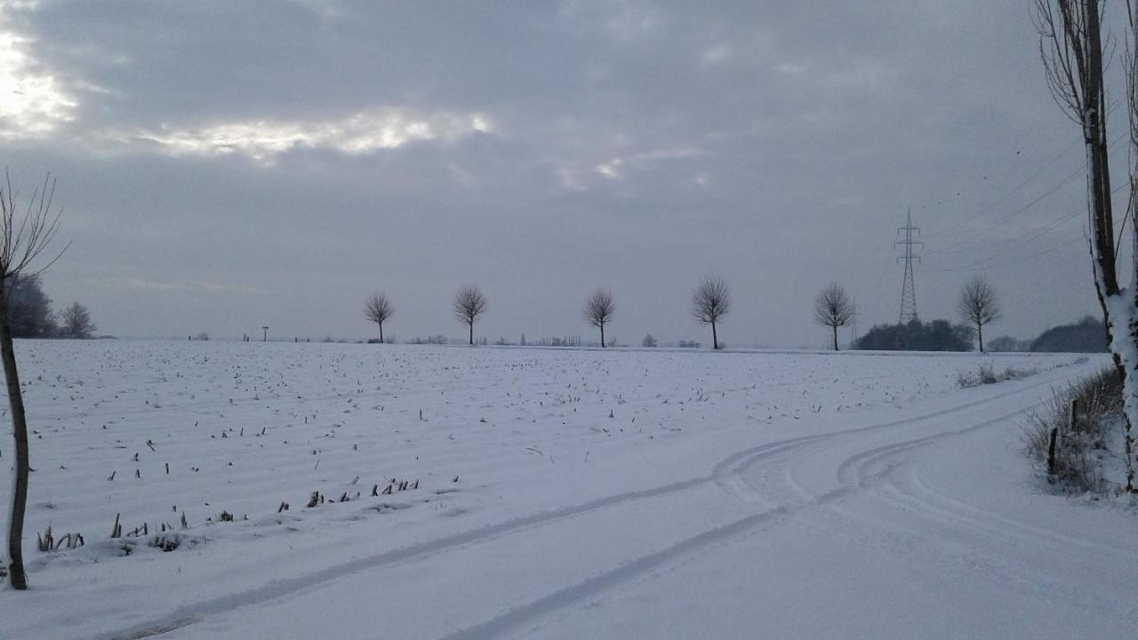 B & B Victors Hof, Met Zwemvijver In Landelijke Setting Lievegem Kültér fotó