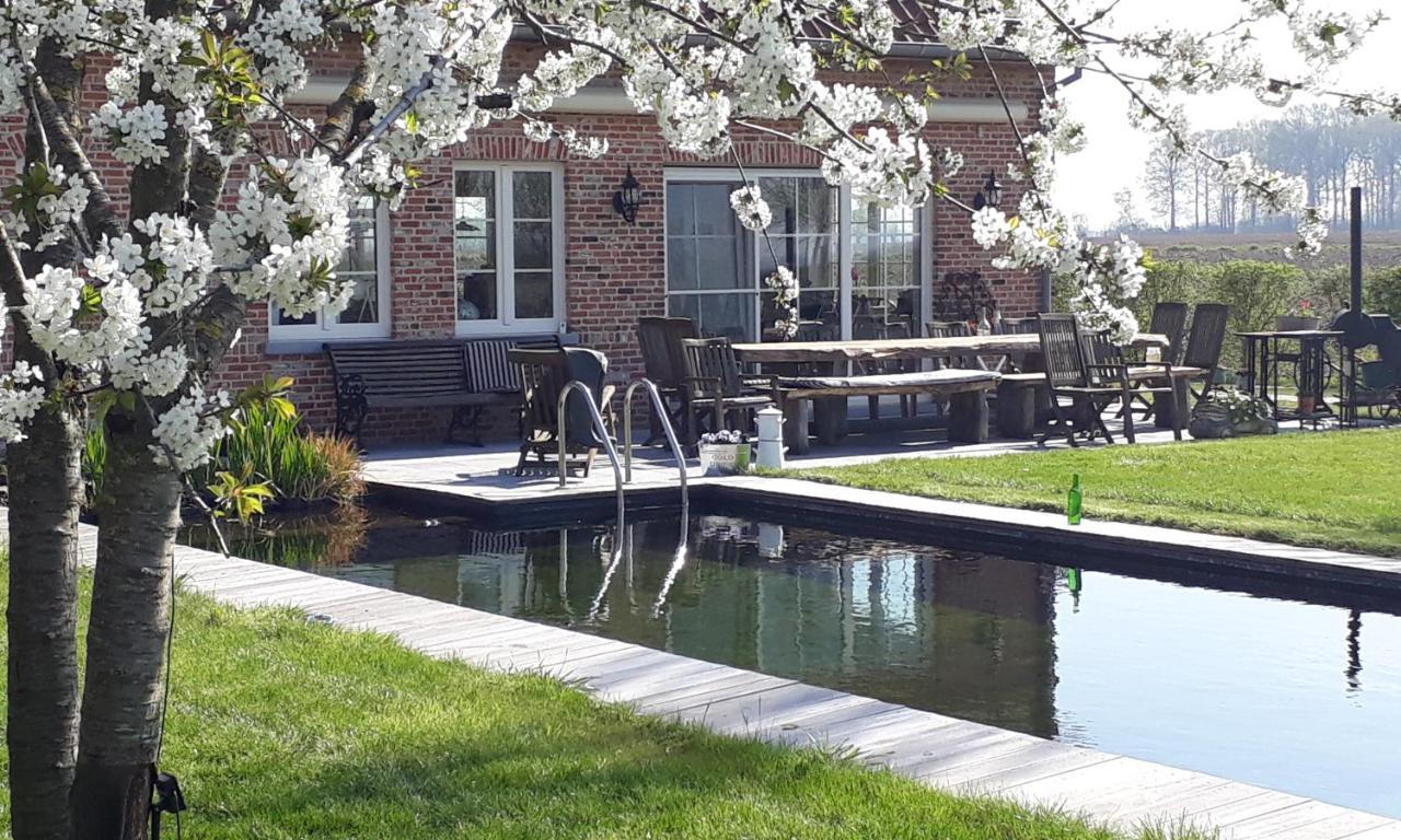 B & B Victors Hof, Met Zwemvijver In Landelijke Setting Lievegem Kültér fotó