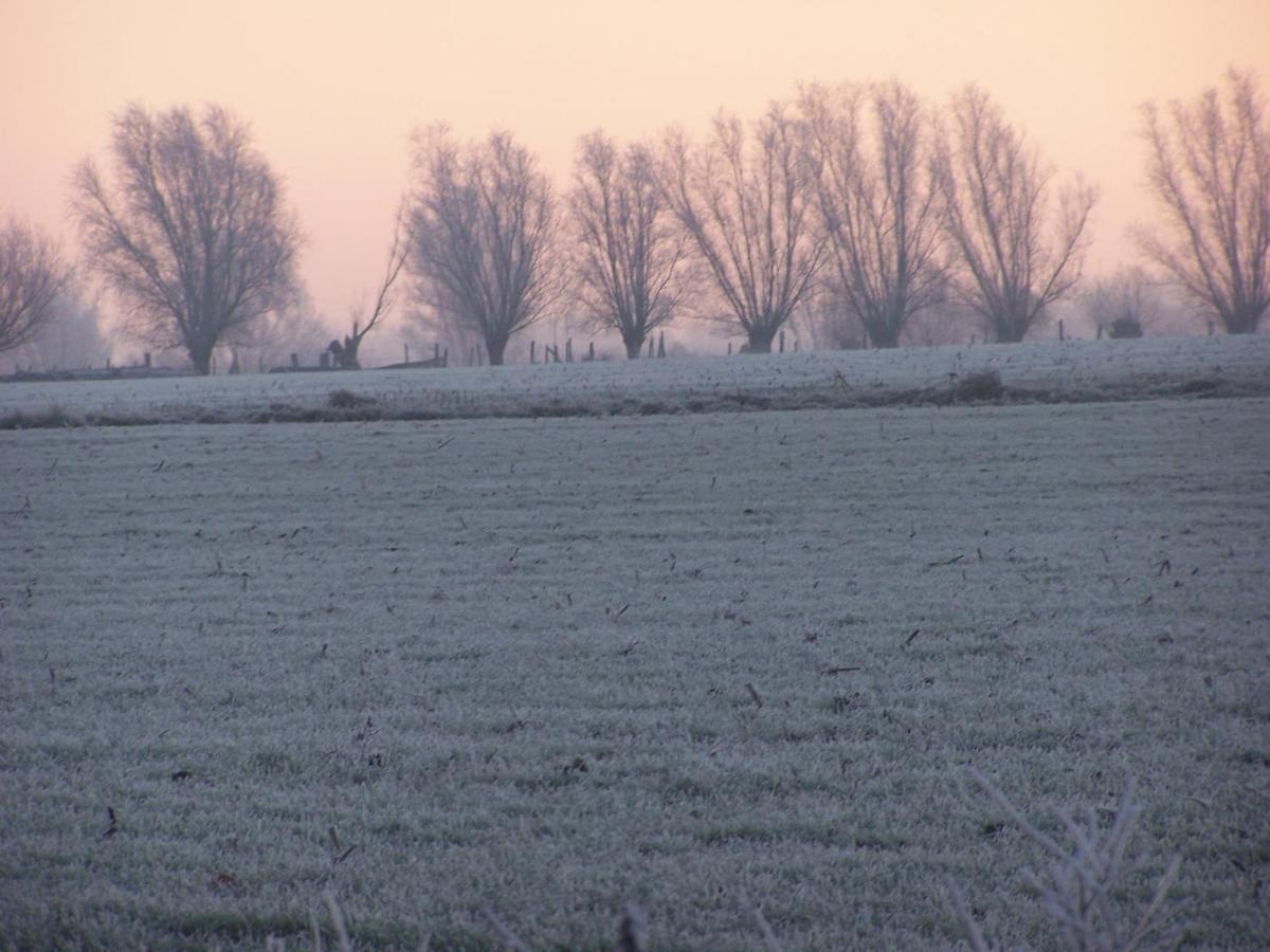 B & B Victors Hof, Met Zwemvijver In Landelijke Setting Lievegem Kültér fotó