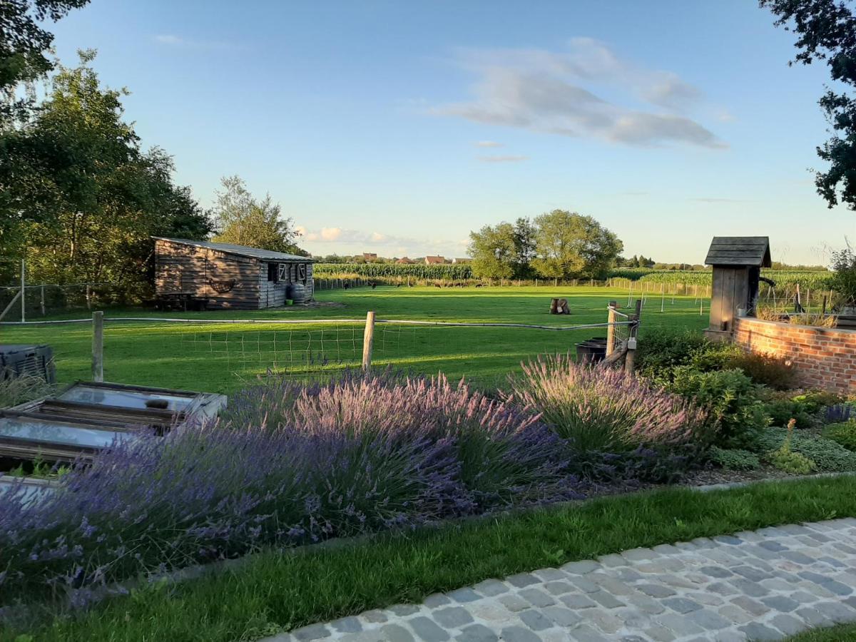 B & B Victors Hof, Met Zwemvijver In Landelijke Setting Lievegem Kültér fotó