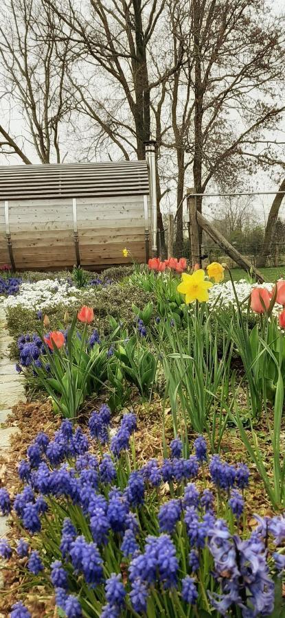 B & B Victors Hof, Met Zwemvijver In Landelijke Setting Lievegem Kültér fotó