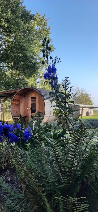 B & B Victors Hof, Met Zwemvijver In Landelijke Setting Lievegem Kültér fotó