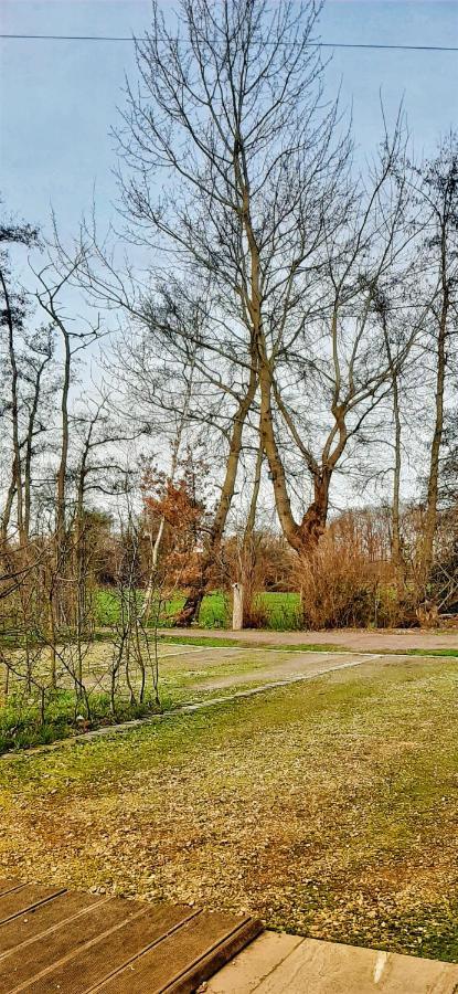 B & B Victors Hof, Met Zwemvijver In Landelijke Setting Lievegem Kültér fotó